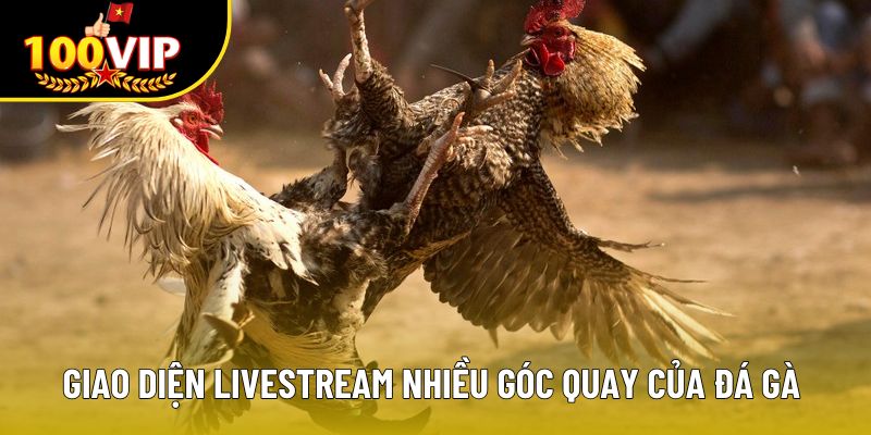 Giao diện livestream nhiều góc quay của đá gà