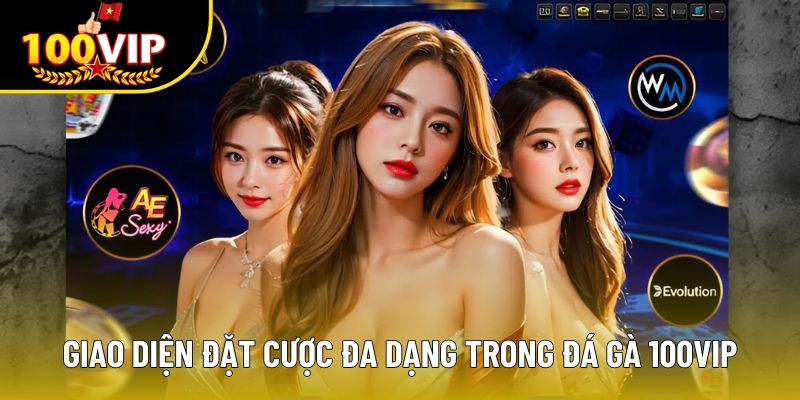 Giao diện đặt cược đa dạng trong đá gà